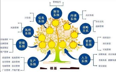 企業管理咨詢 賦能企業增長的專業服務產品