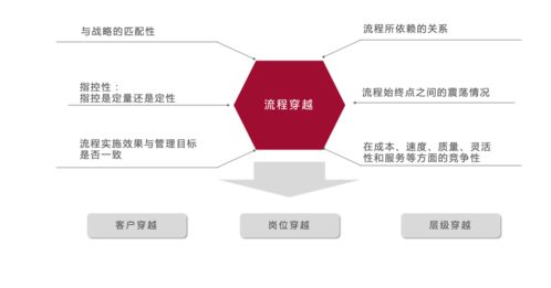 賦能敏捷組織 睿山信達人力資本如何驅動企業精細化管理