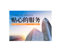構建高效產品庫 企業管理咨詢的核心策略與實踐