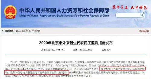 北京軟件信息服務(wù)業(yè)新生代農(nóng)民工占比提升 人才結(jié)構(gòu)新動態(tài)背后的機遇與挑戰(zhàn)